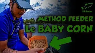 BABY CORN - TANCHES au METHOD FEEDER