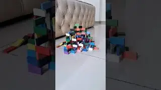 domino tricks pt-238