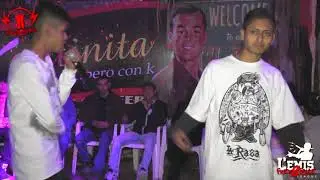 panda vs dt