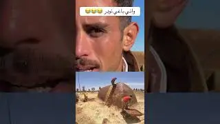 راني باغي نودر 😂😂😂@Taliss