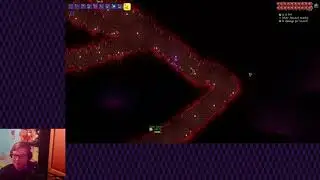 Terraria's Master Mode - Dual Slot (4)