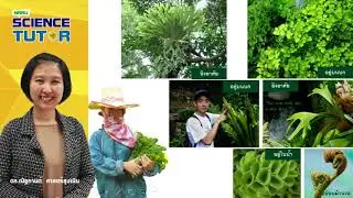 EP.11 ความหลากหลายของพืช