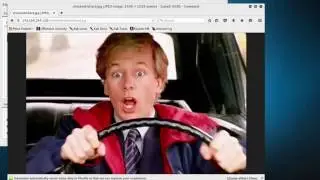 7MS #223: Прохождение Vulnhub &mdash; Tommy Boy
