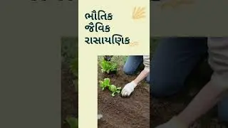 HK Farmt#farming #organicfarmar #agriculture #organicindia #carbonicfertilizer #organiclife #organic