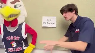 Name Our Rooster!