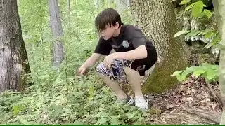 Wild Bird Encounter