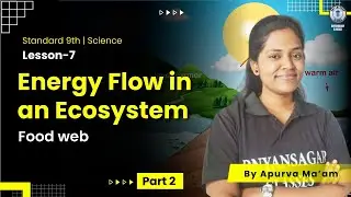 9th Class Energy Flow in an Ecosystem | Biology Chapter Food Web Explained | Apurva Ma'am