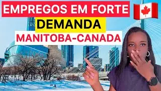 OPORTUNIDADE: OS EMPREGOS EM ALTA DEMANDA EM MANITOBA NO CANADA