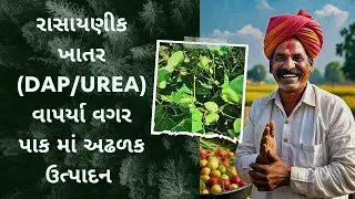 રાસાયણી ખાતર (DAP/Urea) વાપર્યા વગર પાક માં અઢળક ઉત્પાદન | Maxiva Crop Care | #organicfertilizer