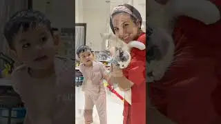 5 Artis pecinta kucing #kucing #artis