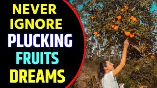 Plucking Fruits From Tree in Dream Meaning | Plucking Fruits From A Tree Dream Interpretation
