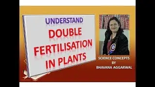 Double Fertilisation in Plants