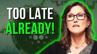 Кэти Вуд: ПОСЛЕ ЭТОГО НИКТО НЕ СМОЖЕТ КУПИТЬ Cardano ADA!