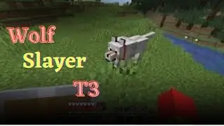 Fakepixel Skyblock Wolf Slayer