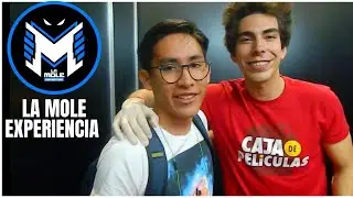 Mi Experiencia en LA MOLE 2020