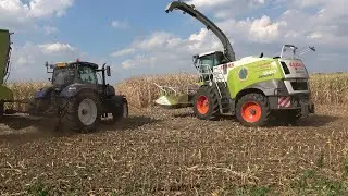 Mais hakselen door loonbedrijf Grefelman met Claas Jaguar 940 en 2 New Holland trekkers (2022)