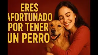 Reflexi&oacute;n sobre los humanos y los perros: Eres Afortunado