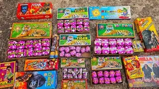 Top Tiger Cracker Testing 2023 / Types Of Sutli fatakha / Diwali Top Tiger Cracker / #diwali