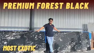 Forest Black Granite 🔥 | Latest Granite Design | Granite Flooring Designs India