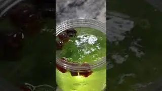 This is what i feed my corals!
