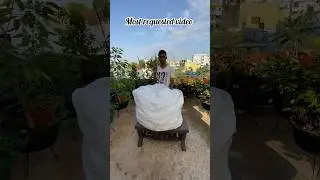 Plant stands used in my garden 🪴