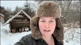 Snow Buried Our Homestead VLOG#169