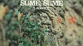 ANSAMBL LADARICE - ŠUME, ŠUME