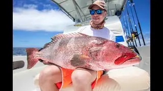 GT popping and catching a BIG coral trout in Madagaskar!