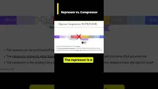 Gene Expression in operons: Repressor vs. Corepressor