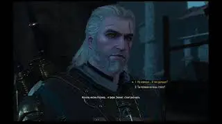 Пряма трансляція witcher 3 wild hunt