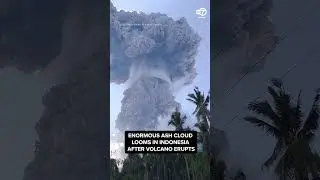Enormous Ash Cloud Looms in Indonesia After Mount Lewotobi Erupts