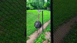 Largest zoo in the USA p2