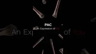 Introducing India&rsquo;s 1st T-Shaped Brush Kit | PAC