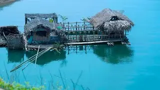 Searching for wild food, fishing, gathering, cooking - Surviving alone in the deep jungle