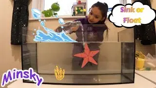 Тонет или плавает? 🧪 Забавная наука для малышей | Безопасные и обучающие видео для детей | Minsky Learns