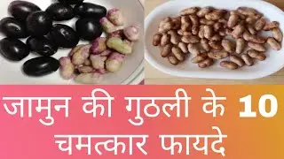 जामुन की गुठली के फायदे और नुकसान  | Jamun ki Guthli ke fayde aur nuksan In Hindi |