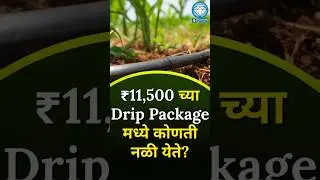 ₹11,500/- च्या ड्रिप पॅकेजमध्ये कोणती नळी मिळते? #facts #drip #education #farming #farmer #science