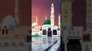 Mohammadan❤️ sayyadu arabic naat🥰 #trending #beautiful nat #ytshorts#islamicvideos#islamicstatus