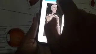Demand Pick Smart Posters - Product Demo of Human Anatomy Smart Poster with AR Technology Features
