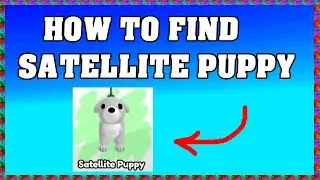 HOW TO FIND SATELLITE PUPPY in FIND THE PUPPIES ROBLOX ! 🐶