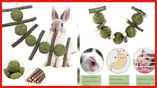 Rabbit Toys, Bunny Chew Toys for Teeth Grinding, 100% Natural Organic Wood Apple Sticks and Timothy