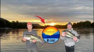 Fishing for giant bass on Norris lake in East TN (POWELL Valley)