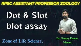 Dot & Slot blot assay. RPSC Asst Professor Zoology. #rpsczoology #tools #blotting