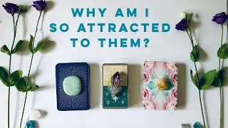WHY AM I SO ATTRACTED TO THIS PERSON? Pick A Card ✨ 💕 LOVE - Psychic Tarot Reading 💕