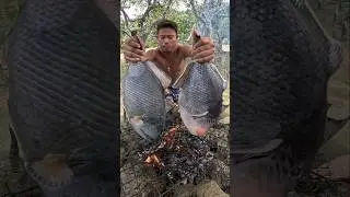 Grilled Giant Titan Trigger Fish! 🔥