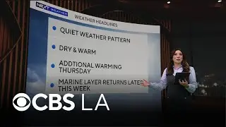 Amber Lee&rsquo;s NEXT Weather forecast