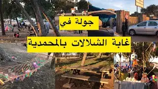 شاركت معاكم غابة الشلالات الجميلة لكاينة بالمحمدية لتقدرو تزوروها نتوما وأطفالكم وعائلتكم بالتفاصيل
