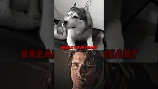 Dog Sad Moments CRYING DOG ❤️&zwj;🩹