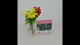 Stand up pouch manufacturers in sivakasi | Pouchesbags
