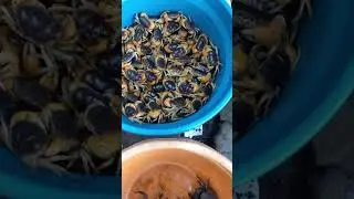 खेकड्याचे मार्केट | असा भरतो कल्याणमध्ये खेकडे बाजार | Crab Market Kalyan | Live Crabs | खेकडे बाजार